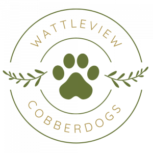 Wattleview Logo